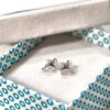 3-resized