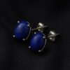 Lapis Lazuli Gemstone Studs Jewellery