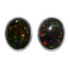 Oval black opal stud earrings with vibrant multicolor flashes, set in a smooth silver bezel.