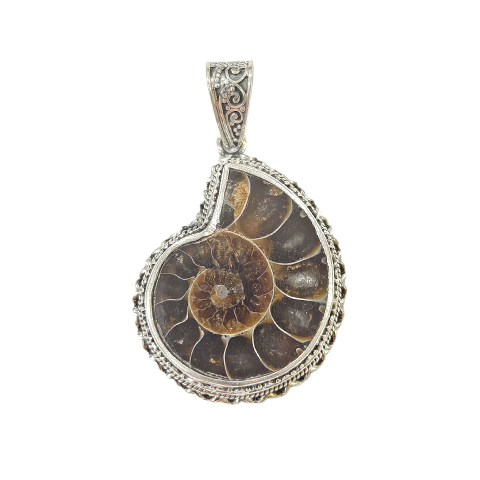 Ammonite fossil pendant with ornate silver setting on white background