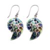 925 sterling silver nautilus shell earrings with abalone inlay