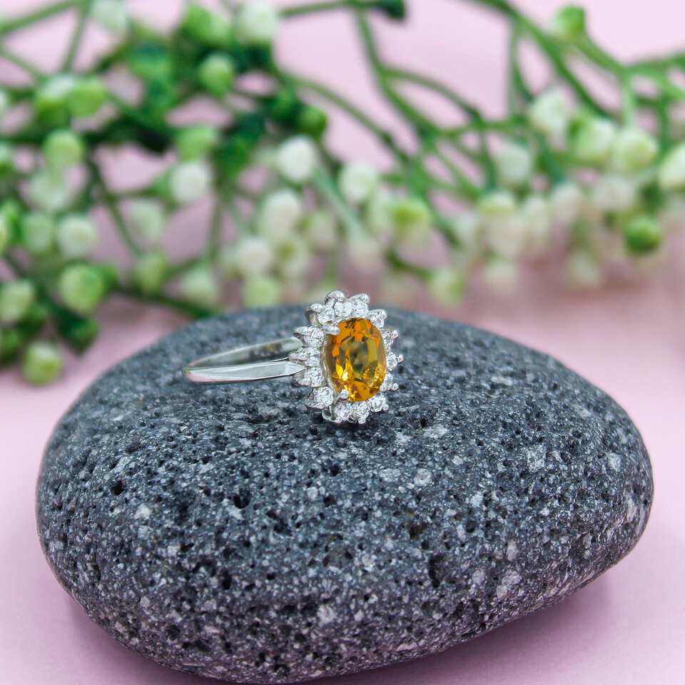 TSA-GSR-0024-2-resized