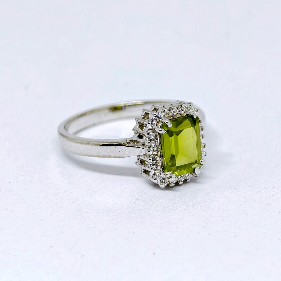 IMG_20250204_170135-resized